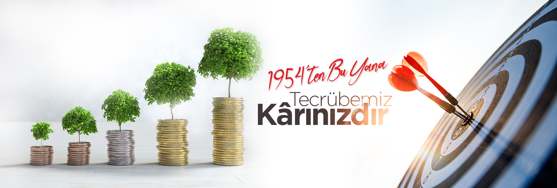 Lokmanoğlu Gümrük Müşavirliği - Tecrübemiz Kârınızdır | Mersin